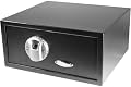 BARSKA Biometric Safe