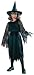 Halloween Concepts Child's Witch Costume with Flocked Velvet Spider Web Fabric, Small