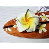 ���i�̏ڍ�