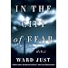 In the City of Fear: A Novel (Norton Paperback Fiction)