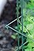 Gardener's Supply Company Tall Expandable Pea Trellis for Outdoor Plants | Sturdy Garden Trellis for Beans, Peas & Other Climbing Vegetables | 9'-3