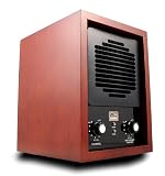 41RzJD3ifiL. SL160  AllerAir Air Purifier