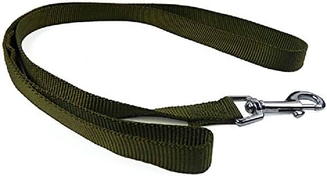Dog Leash, Pet Durable Leash Strap for Puppy, Rope 4-Feet Long 1-Inch Wide by Smizel (Green)