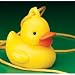 ~ 12 ~ Yellow Ducky Necklaces ~ New ~ Easter Baby Shower