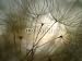 Wallmonkeys Peel and Stick Wall Decals - Warm (2) - Removable Graphic