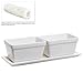 Small Modern 2 Piece White Ceramic Windowsill Flower Box w/ Removable Tray / Succulent Planter Pot