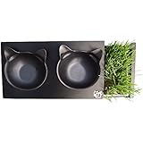 ViviPet Cat Dining Table _15&deg; Tilted Platform Pet Feeder_ Solid Pine Stand with Ceramic Bowls - Mykonos Collection