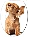 Sticker Autocollant Abattant WC Chien 26x34cm réf 070