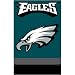Philadelphia Eagles NFL Applique Banner Flag (44"x28")