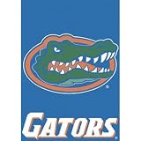 Florida Banner Flag