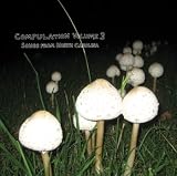 Compulation Volume 3: Songs From North Carolina