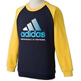 (アディダス)adidas YB BC BIGロゴスウェットクルｰ HN253
