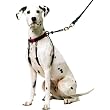 SPORN NO PULL HALTER LG BLACK