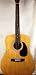 New - Alpine Acoustic Guitar - Autographed in Person by Brian Wilson (Beach Boys) - Legendary Singer/Song Writer - Model GA 202 - 6 String - Collectible