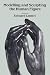 Modelling and Sculpting the Human Figure (Dover Art Instruction)