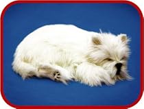 Perfect Petzzz Westie Terrier