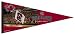 NCAA South Carolina Fighting Gamecocks Premium Quality Pennant 17-by-40 inch