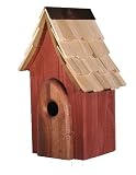 Heartwood - The Whimsey - Redwood