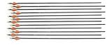 12 Gold Tip Trophy Hunter HP Arrows