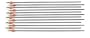 12 Gold Tip Trophy Hunter HP Arrows