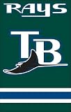 Tampa Bay Rays Applique Banner Flag