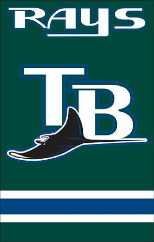 Tampa Bay Rays Applique Banner Flag