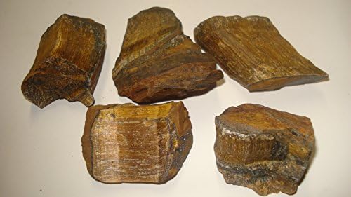 (#15) 5pc Gold Tiger Eye Medium/Large Premium Quality Raw Rough 100% Natural Crystal Gemstone Specimen