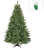7.5′ Cumberland Fir Prelit Artificial Christmas Tree, Clear Lights 800