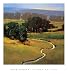 Wandering Vista by Greg Stocks. ART PRINT ON CANVAS with 1 1/2 inch deep bars. 18.00 inches width by 17.97 inches height. Highest Quality Art Poster Print