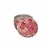 Voluspa 4.5 oz Decorative Tin Candle - Capri Fig Frangipani