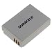 Canon PowerShot SD850 IS Duracell Camera Battery