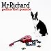 Polka dot puzzle by Mr. Richard.
