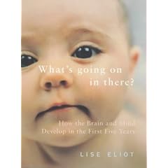 What's Going on in There?: How the Brain and Mind Develop in the First Five Years of Life