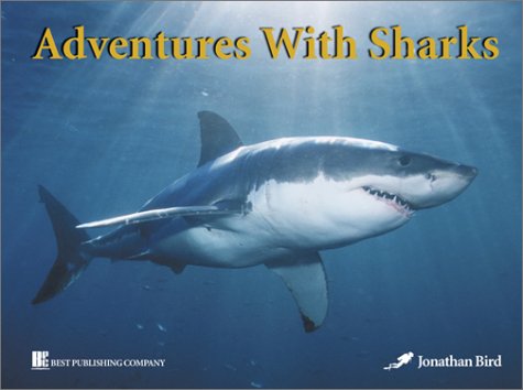 Sharks