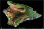 Hawaii (Big Island), Hawaii Satellite Print, 36"x24"