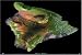 Hawaii (Big Island), Hawaii Satellite Print, 36
