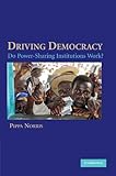 Driving democracy : do power-sharing institutions work?