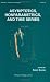 Asymptotics, Nonparametrics, and Time Series (Statistics: a Series of Textbooks and Monogrphs)