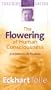 The Flowering of Human Consciousness: Everyone's Life Purpose [VHS]