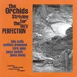 Striving for the Lazy Perfection + Singles