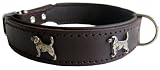Robustes Lederhalsband mit Beagle Motiven - 47 x 2,6cm - braun Top Qualität