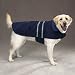 Pet Supplies : Dog Coat - Blue Reflective Safety Jacket for Dogs - X-Large (XL)
