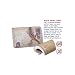 Nature Zone Safe Shelter - Large