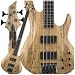 Musical Instruments : B404SM 4 String Bass (Spalted Maple)