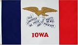 Large New 3x5 Iowa State Flag US USA American Flags