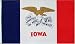 Large New 3x5 Iowa State Flag US USA American Flags