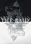 The Raid