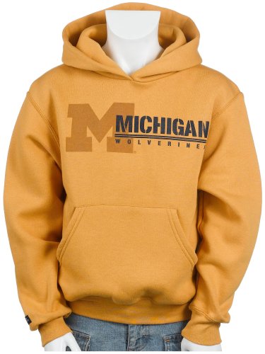 Jansport Michigan Youth Hoodie