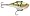 Yellow Perch