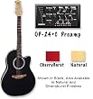 Balladeer 1861 CherryBurst Finish